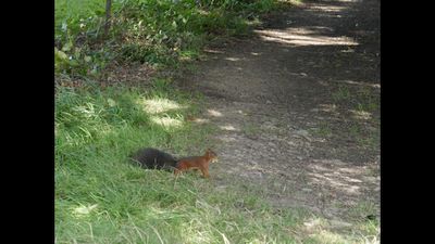 Klicken vergr&ouml;&szig;ert